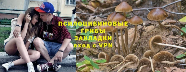 ГАЛЛЮЦИНОГЕННЫЕ ГРИБЫ Аркадак